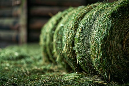 Close-up of a large round bale of dense, tightly packed alfalfa hay, revealing the individual flakes that make up the entire bale