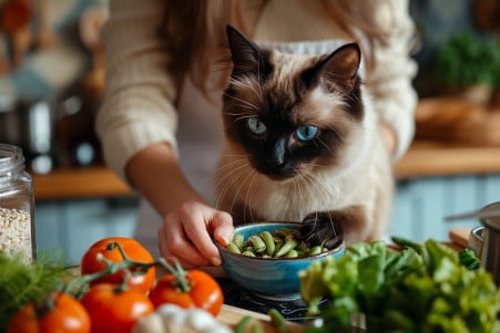 Siamese cat inspecting a bowl of green beans on a kitchen table with a woman cooking in the background