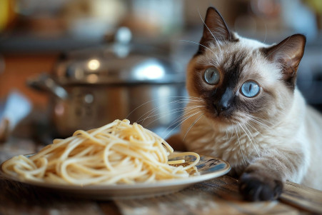 Blue-eyed Siamese cat playing with a strand of spaghetti on a wooden table
